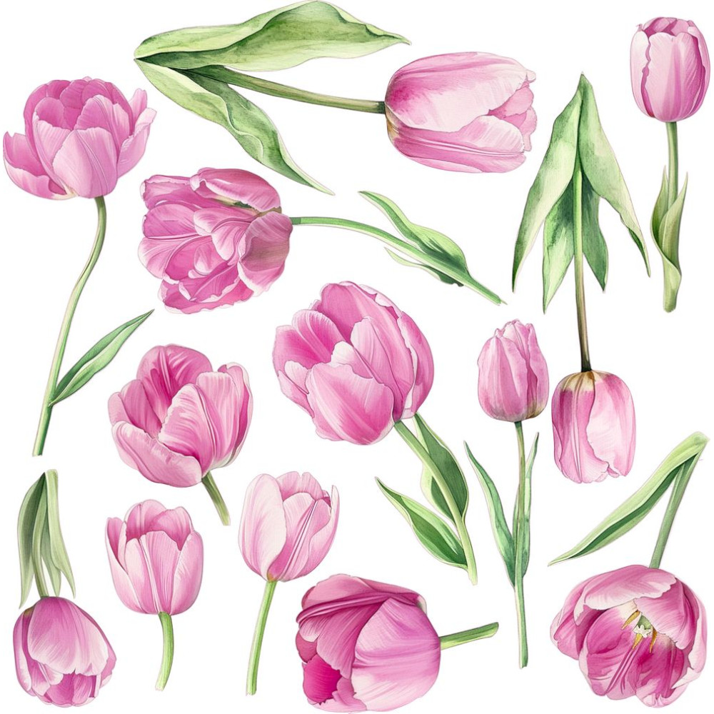 Tulipános pink autómatrica csomag