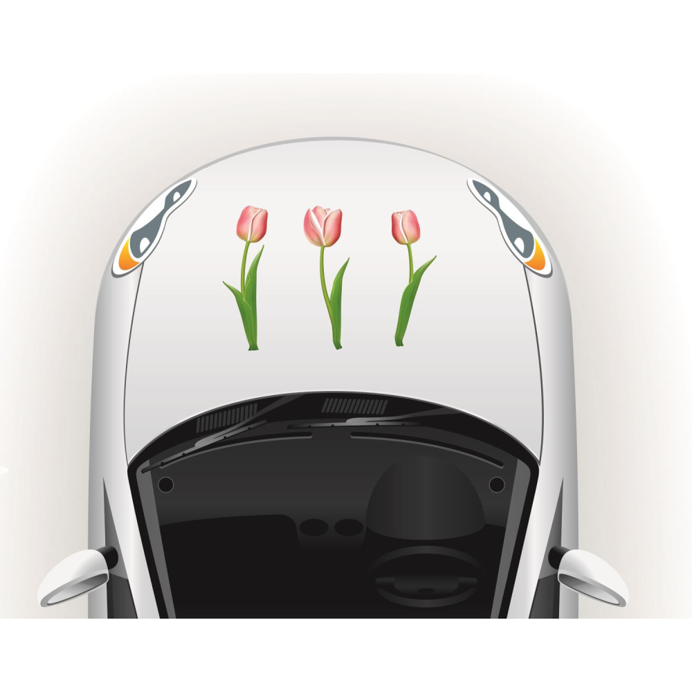Tulipános csajos autó matrica