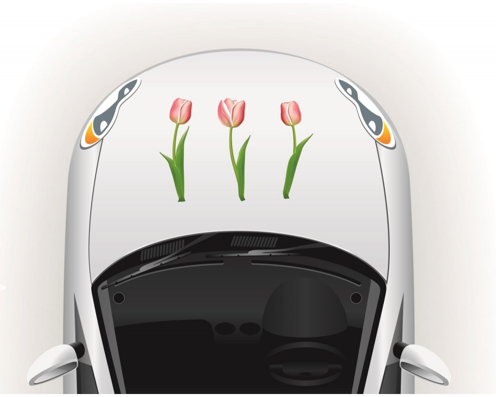 Tulipános csajos autó matrica