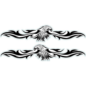 Sas nonfiguratív autómatrica