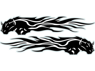 Bika nonfiguratív autómatrica