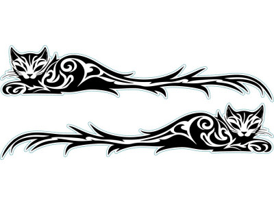 Cica nonfiguratív autómatrica