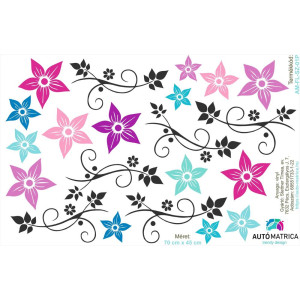 Virágos autómatrica csomag - színes